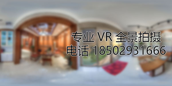 龙滚镇VR全景技术在未来可能的发展方向和应用领域?